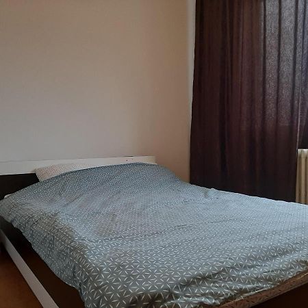 Ultracentral Apartment Bulevard Regele Mihai Nr 10, Sc A Ap 16 Timişoara Exterior foto
